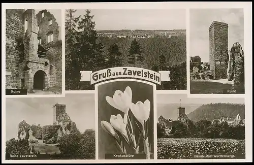 Zavelstein Ruine Krokusblüte Panorama gl1950 140.326