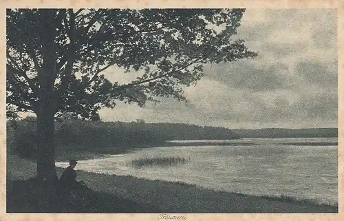 Träumerei am See ngl D1949