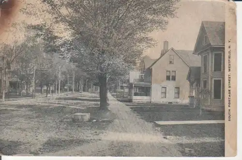 Westfield N.Y. South Portage Street gl1908 219.666