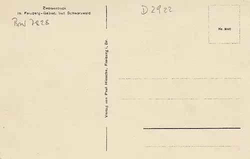Zweiseeblick im Feldberg-Gebiet Schwarzwald Künstlerkarte ngl D2922