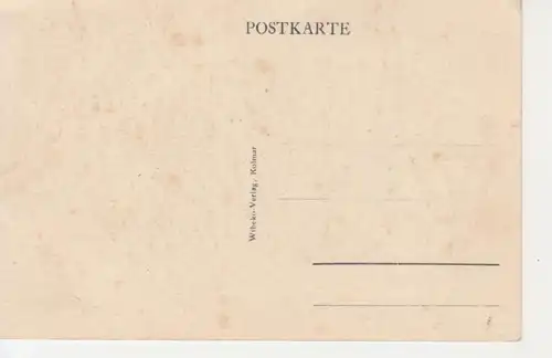 Colmar Schwendibrunnen mit Kaufhaus ngl 217.821