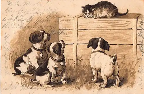 Tiere: Drei Hunde und eine Katze Prägekarte gl1902 150.578