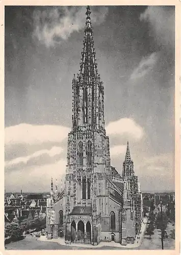 Ulm a.D. Münster ngl 143.894