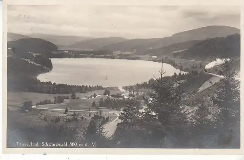 Titisee Schwarzwald Teilansicht gl1928 D0413