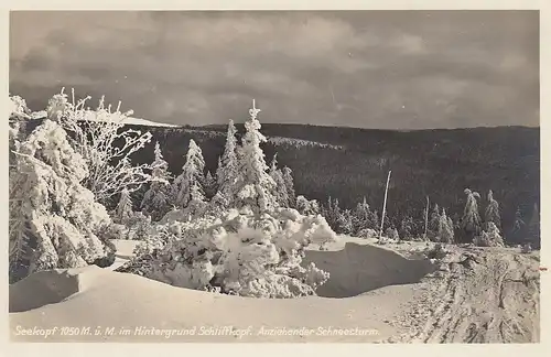 Seekopf, im Hintergrund Schlipfkopf im Schwarzwald ngl D2277