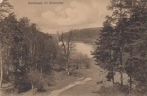 Gamensee im Blumental ngl D0891