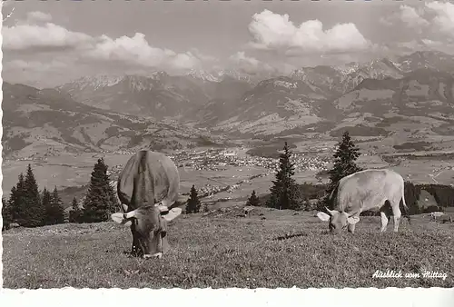 Ausblick vom Mittag bei Immenstadt Allg. gl1963 D0629