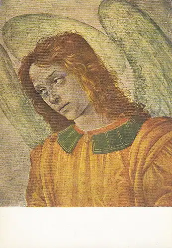 FILIPPINO LIPPI Busto d'Angelo ngl D2705