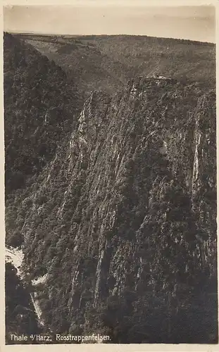 Thale Harz Rosstrappenfelsen ngl D1003