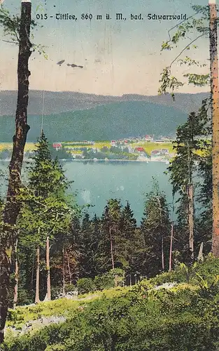 Blick auf den Titisee bad.Schwarzwald gl1928 D3518