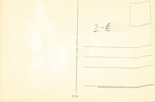 Tiere: Beagle ngl 150.613