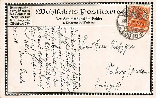 Tiere: Deutscher Schäferhund mit Rotkreuz Halsband gl1918 150.643