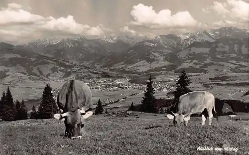 Tiere: Blick ins Tal mit Kühen im Vordergrund auf Alm Gunzesried ngl 150.715