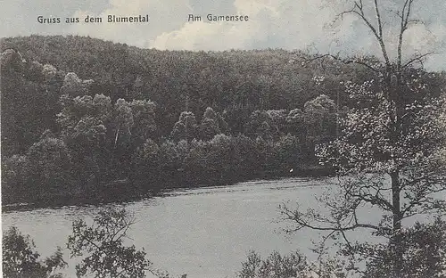 Gruss aus dem Blumental Am Gamensee glum 1910? D0890