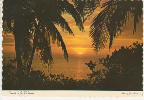 Bahamas Sunset gl1980 218.374