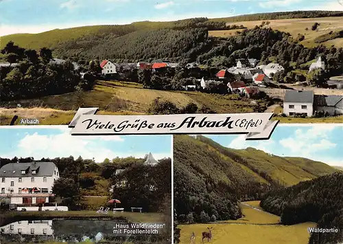 Arbach/Eifel Haus Waldfrieden Waldpartie Panorama gl1971 146.351