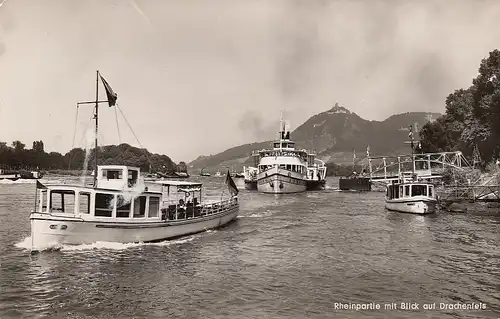 Rheinpartie mit Blick auf Drachenfels ngl D3262