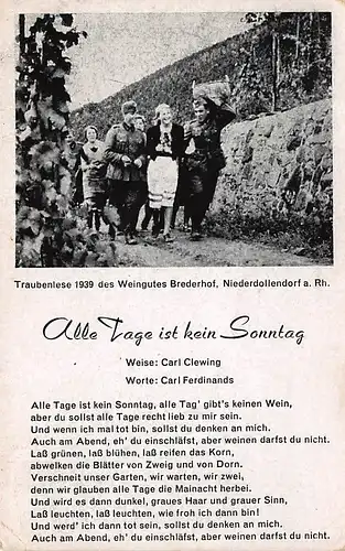 Niederdollendorf am Rhein Traubenlese 1939 Weingut Brederhof ngl 145.846