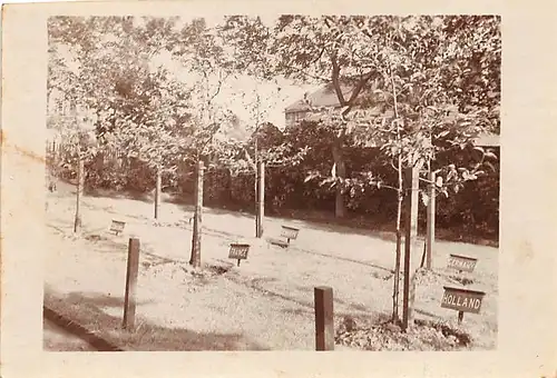 England: Bolton Hall I'TH' Wood Garden (Foto) ngl 147.158