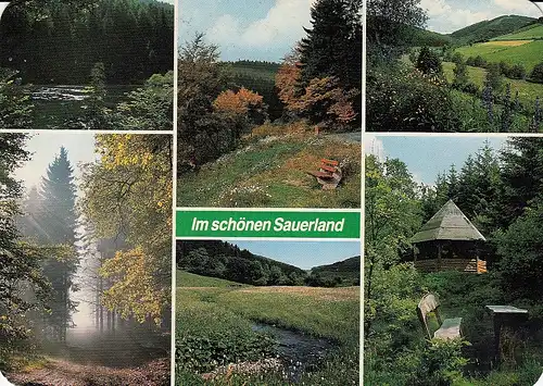 Im schönen Sauerland Mehrbildkarte gl1987 D5955