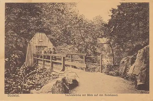Bodetal Teufelsbrücke ngl D5965