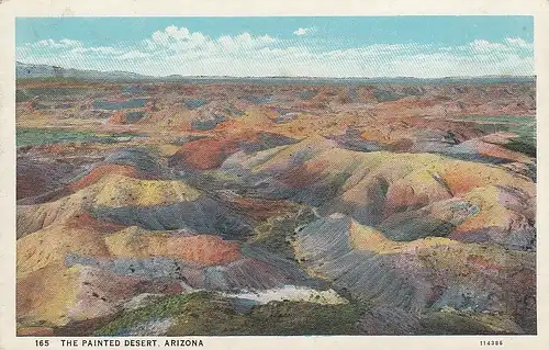 Arizona The painted desert ngl D1317