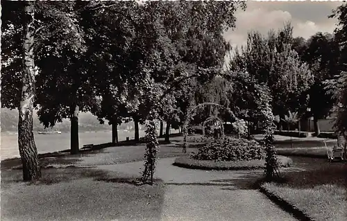 Boppard Rheinpromenade ngl 146.178