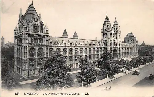 England: London The National History Museum ngl 147.371