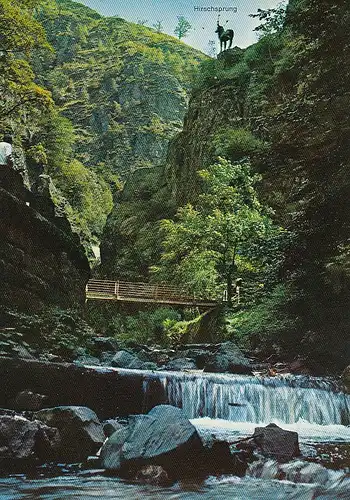 Der Hirschsprung im Höllental i.Schwarzwald ngl D6461