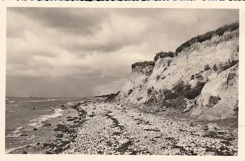 Insel Fehmarn Steilufer bei Wulfen ngl D6573