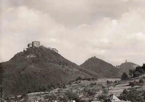 Burg Dreifalrigkeit bei Annweiler Pfalz ngl D6601