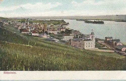 Rüdesheim am Rhein Panorama ngl D1496