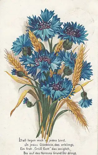 Kornblumen-Gruß gl1918 D3852