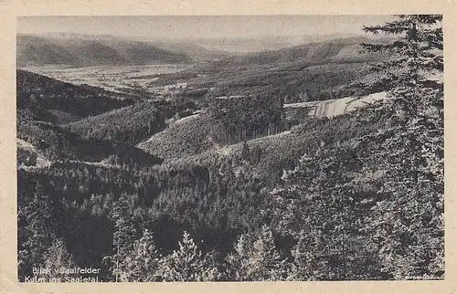 Blick von Saalfelder Kulm ins Saaletal ngl D2644