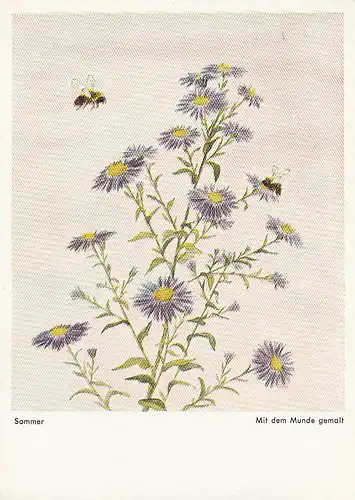 Sommer - mundgemalt ngl D7074