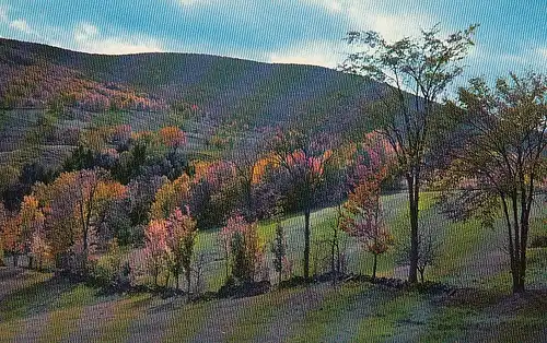 Fall Scene in the Catskill Mountains near Windham ngl D2003