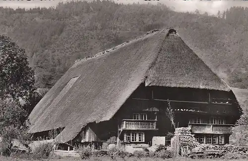 Haus im Schwarzwald ngl D2852