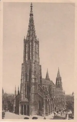 Ulm a.d.Donau Münster ngl 222.353