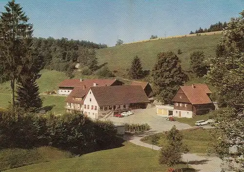 St.Roman bei Wolfach Schwarzwald Gasthaus zum Adler ngl D1696