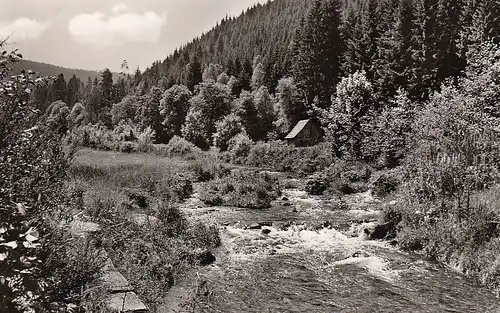 Enzklösterle Schwarzwald Enzpartie ngl D2176