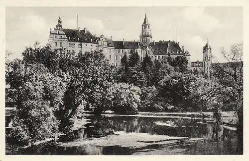 Sigmaringen Das Schloß über der Donau gl1957 D2959