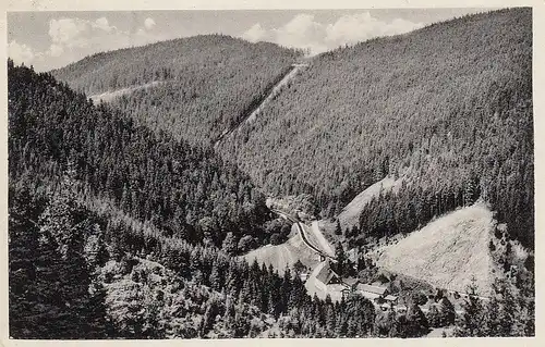 Sormitzgrund Grünau bei Leutenberg gl1952 D2998