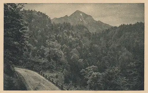 Herzogstand mit Kesselbergstrasse ngl D2043