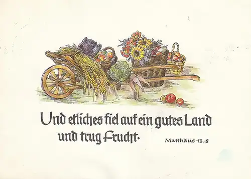 Und etliches fiel auf ein gutes Land ... gl1958 D7486