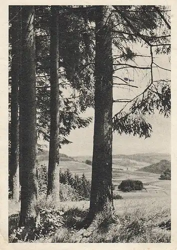 Blick über die Höhen des Sauerlandes gl1961 D1729