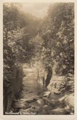 Bodekessel b.Thale/Harz gl1933? D1867