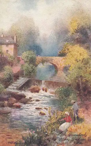 Abbey Bridge and Weir ngl D2154