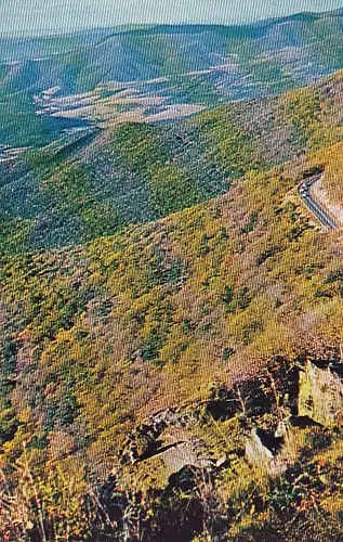 Curves on Skyline Drive in Virginia ngl D2021