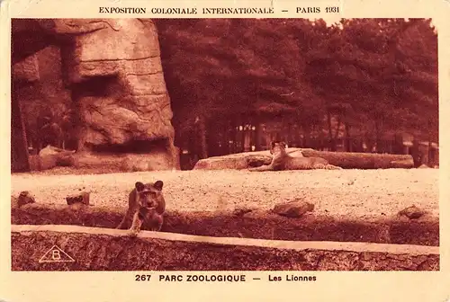 Tiere: Löwen Les Lionnes Exposition Coloniale Paris 1931 ngl 150.739