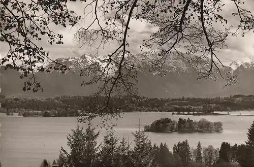 Der Staffelsee gegen Benediktenwand gl1956 D2083